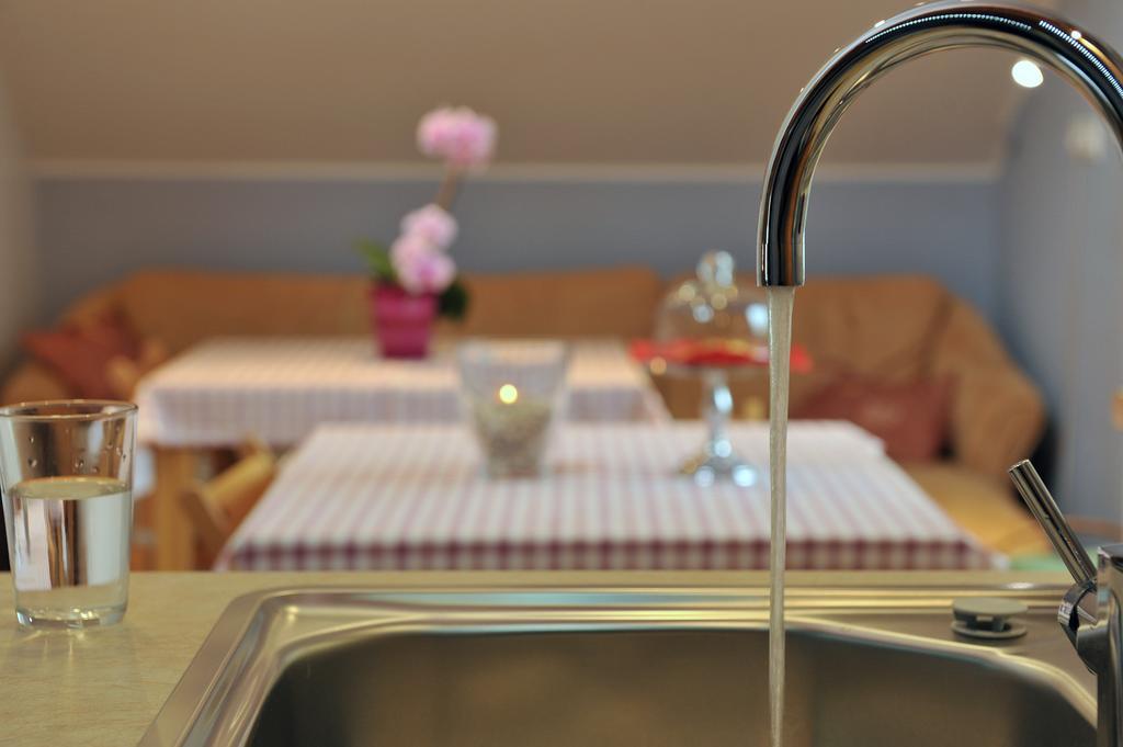 Apartment Šilec Smarje pri Jelsah Extérieur photo